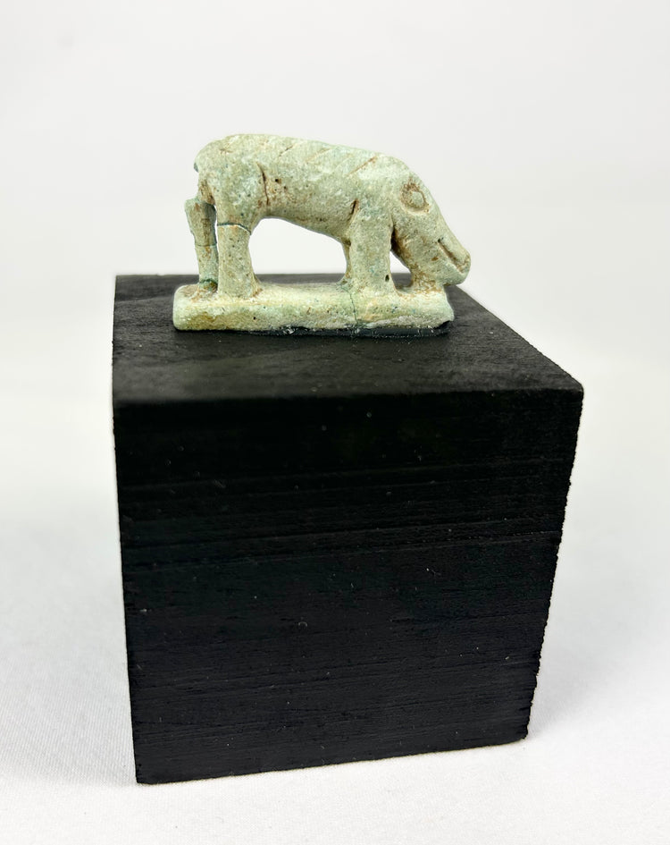 Fayenza egipcia | Amuleto de musaraña | Periodo Tardío-Ptolemaico | Circa 664-30 a. C.