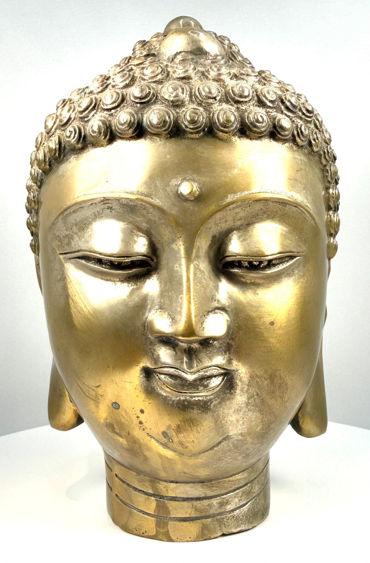 Vintage Asian Buddhist Buddha head statue displaying gently lowered almond-shaped eyes, arched eyebrows, and delicately sculpted facial features.