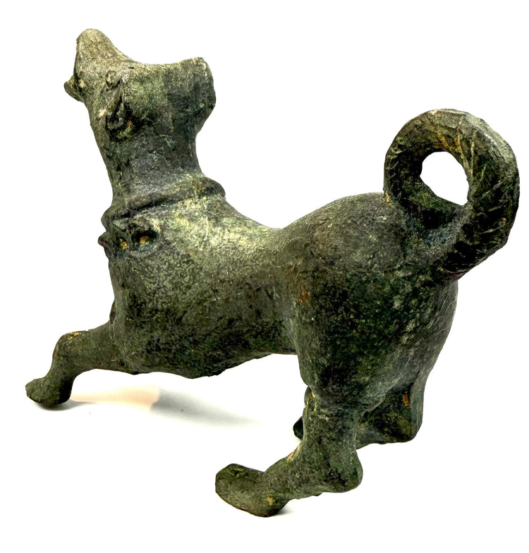 Side view of an ancient Roman bronze dog figurine showing its forward-reaching stance and distinctive pierced curled tail.