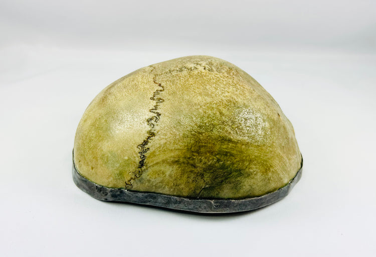 Side view of Tibetan Kapala ritual skull cup showing cranial sutures and natural bone patina, 19th century Buddhist ceremonial vessel.