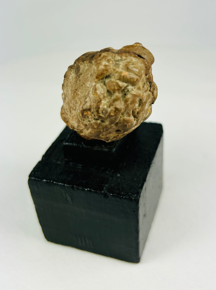 Near Eastern or Mediterranean stone head fragment, stylized ancient features, mounted for display