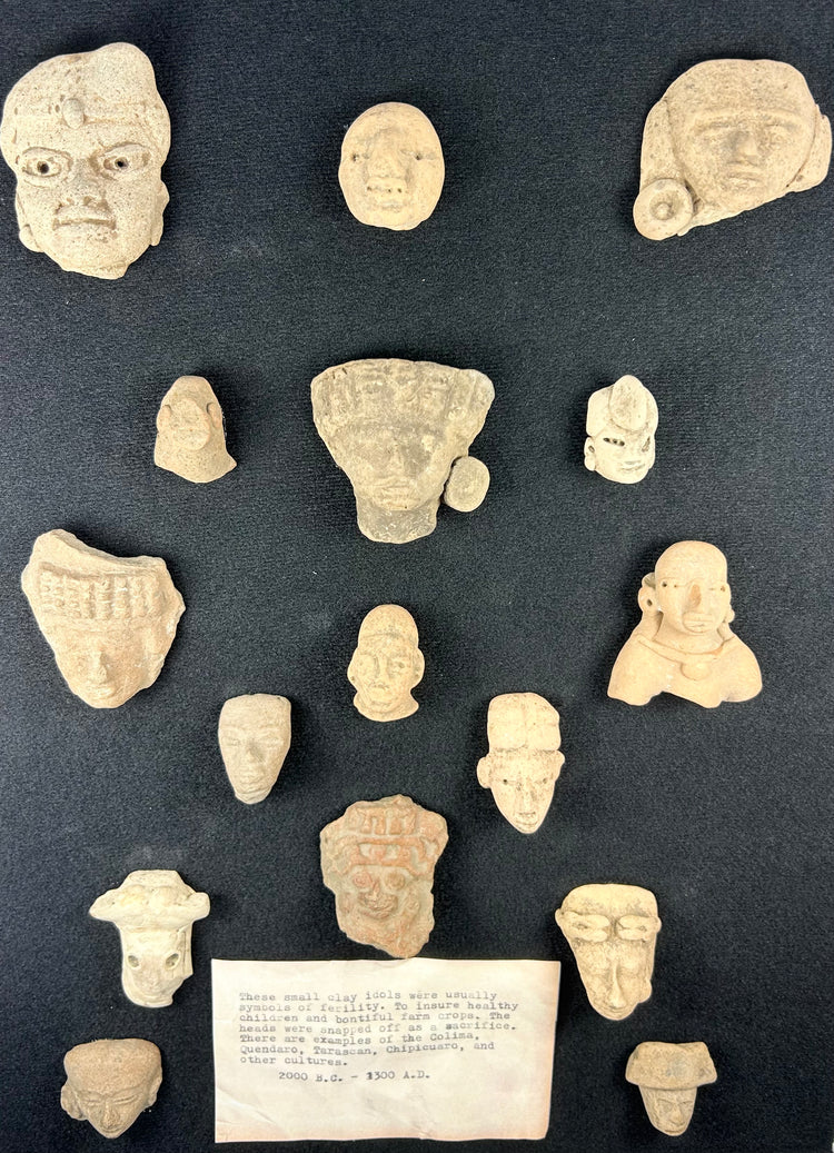 Pre-Columbian terracotta votive heads and busts from Teotihuacan and Veracruz, archaeological shadowbox display