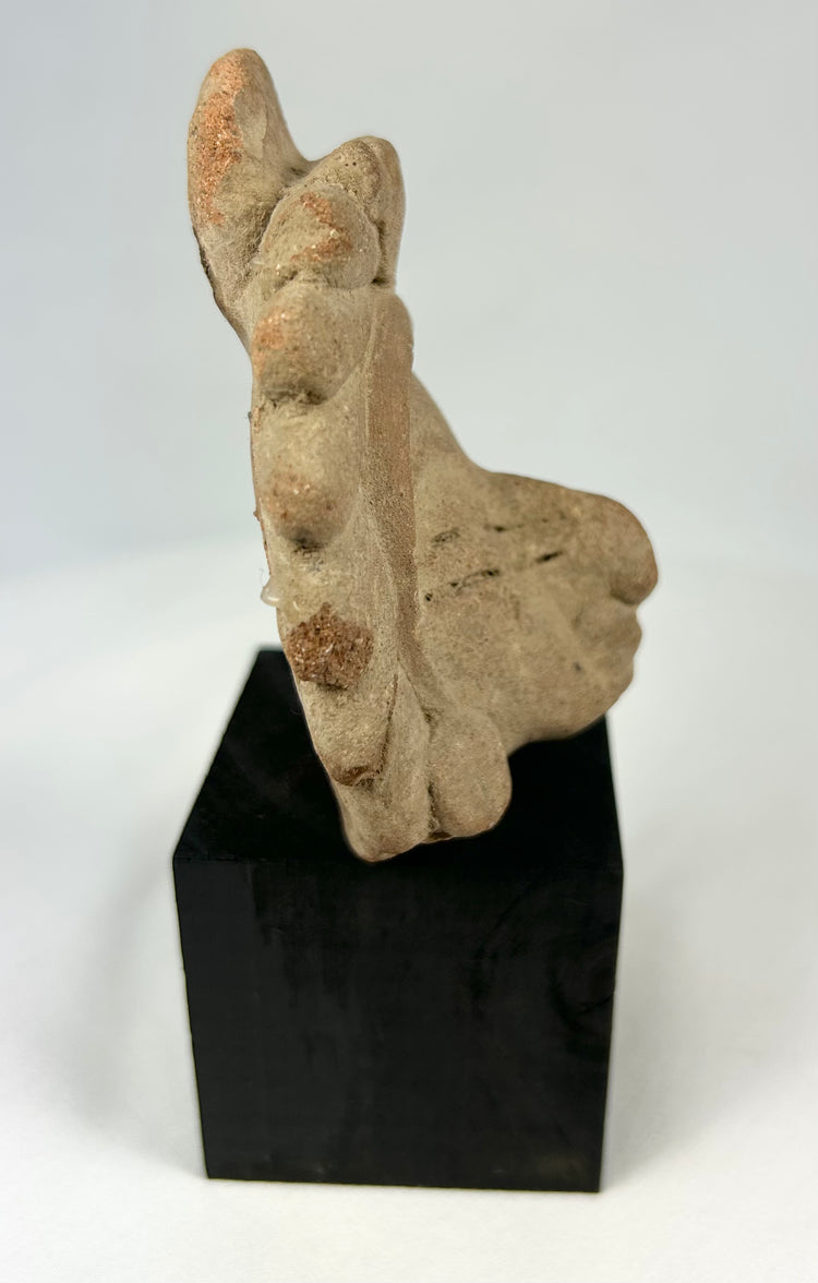 Majapahit volcanic andesite guardian head, 14th–15th century Hindu-Buddhist temple fragment