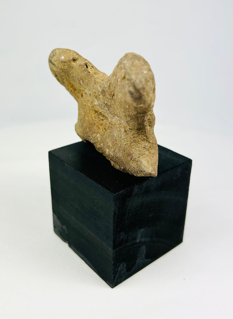 Shaft-tomb culture terracotta head fragment from West Mexico