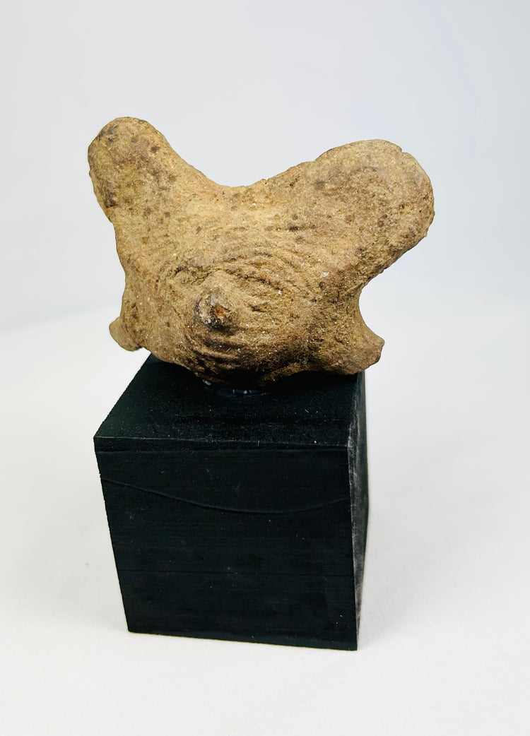 Pre-Columbian West Mexico terracotta head fragment with facial stylization