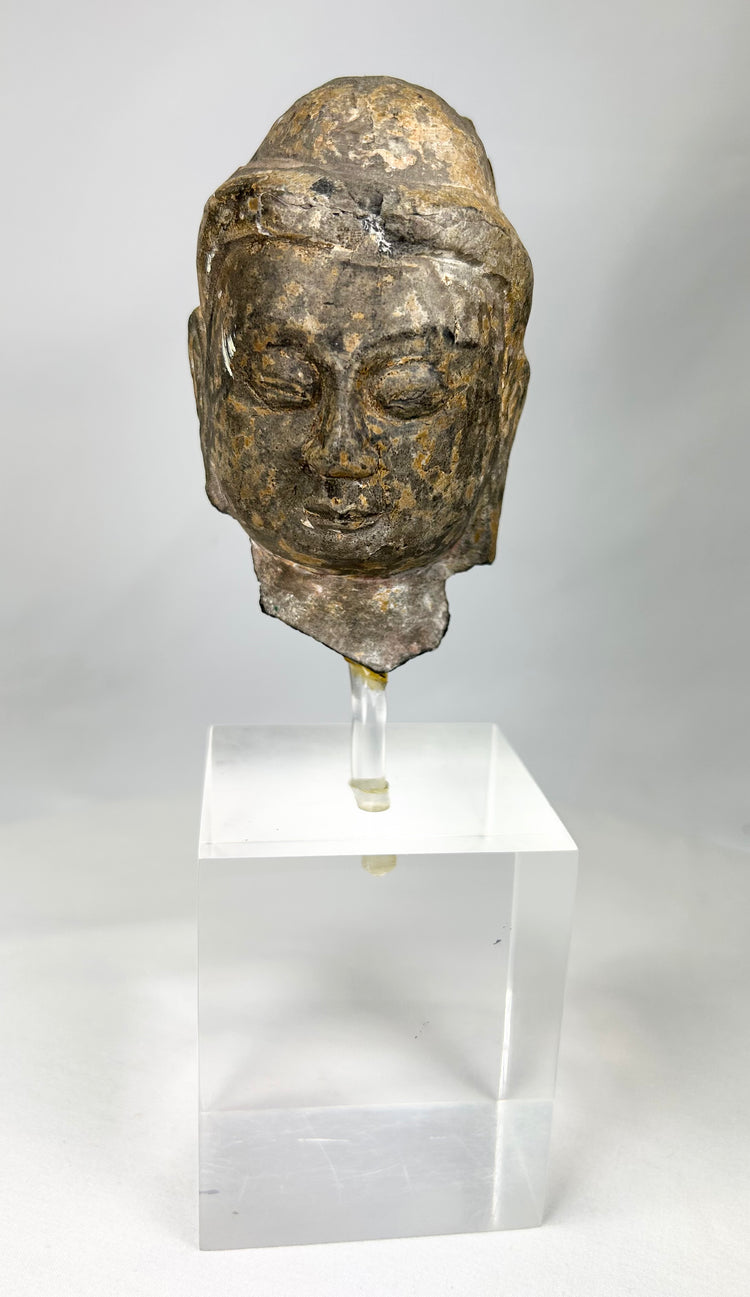 Ancient Gandhara Buddha head sculpture showing Greco-Roman facial features and serene expression, carved stone, 3rd–5th century CE