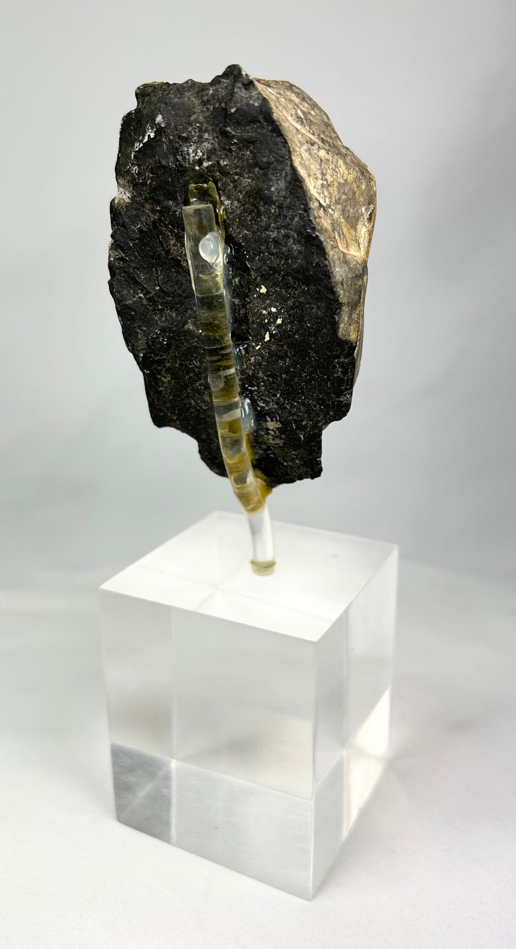 Historical Gandhara Buddha head fragment carved in stone, showing Hellenistic realism and Buddhist iconography