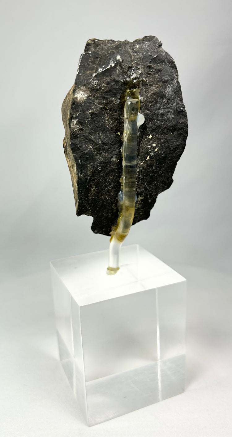 Side view of Gandharan Buddha head fragment revealing carved hair detail and ancient surface patina