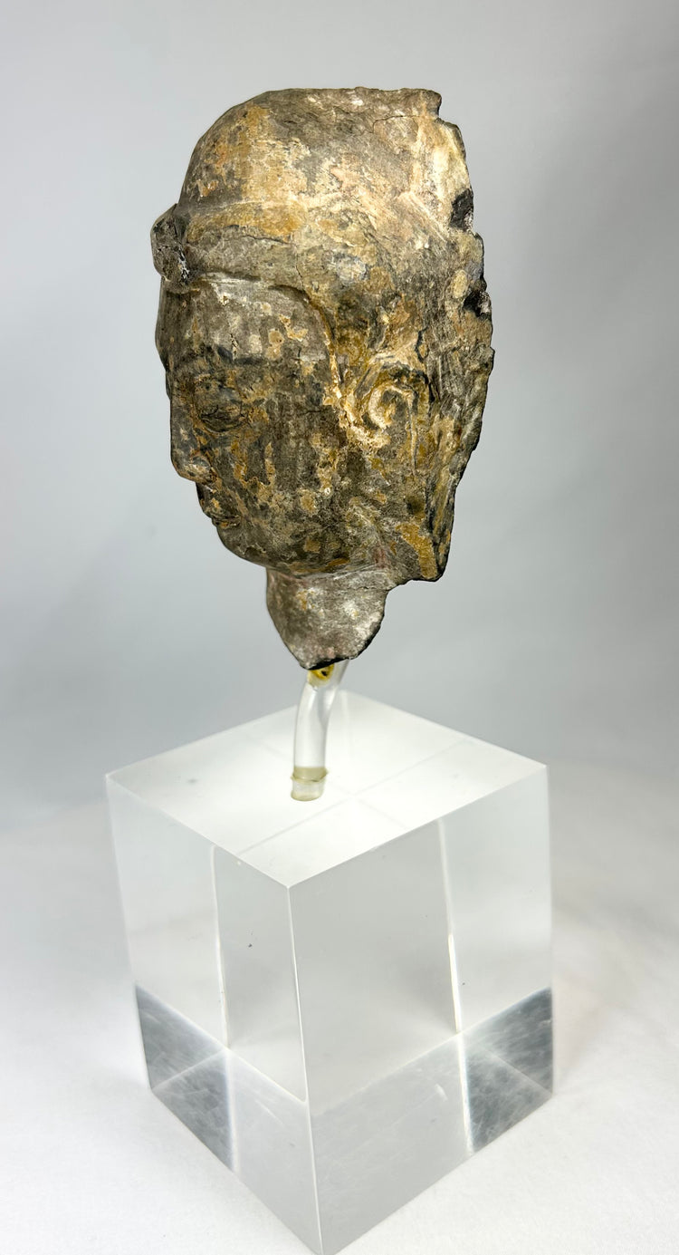 Museum-quality Gandharan Buddha head fragment with weathered stone surface and serene expression