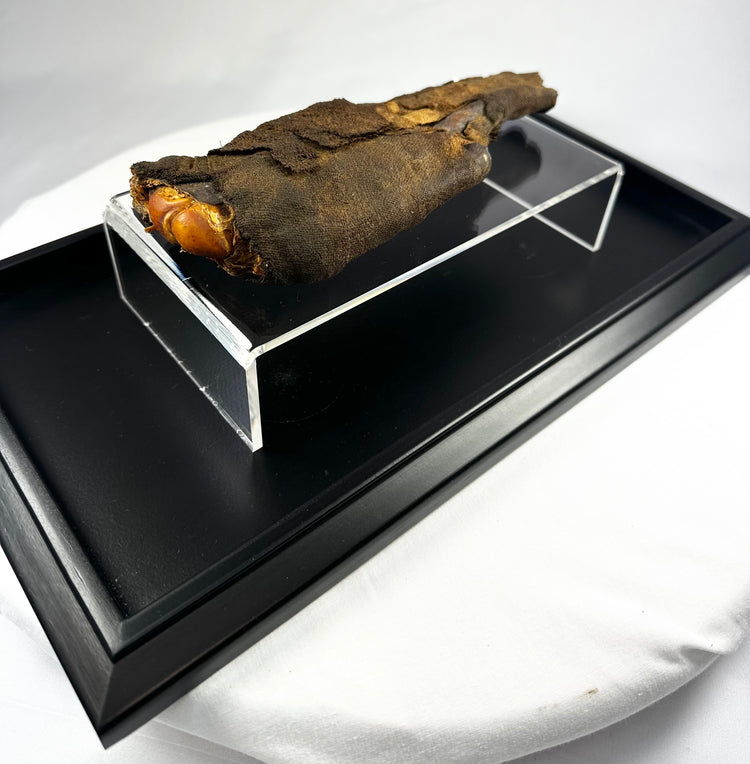 Close-up of authentic ancient Egyptian mummified hand, revealing detailed preservation of desiccated tissue, natural resin, and linen fibers from the Ptolemaic Period.