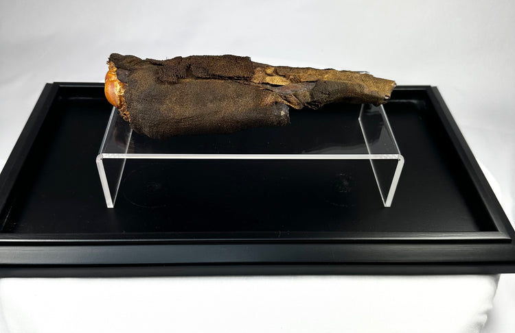 Close-up of authentic ancient Egyptian mummified hand, revealing detailed preservation of desiccated tissue, natural resin, and linen fibers from the Ptolemaic Period.