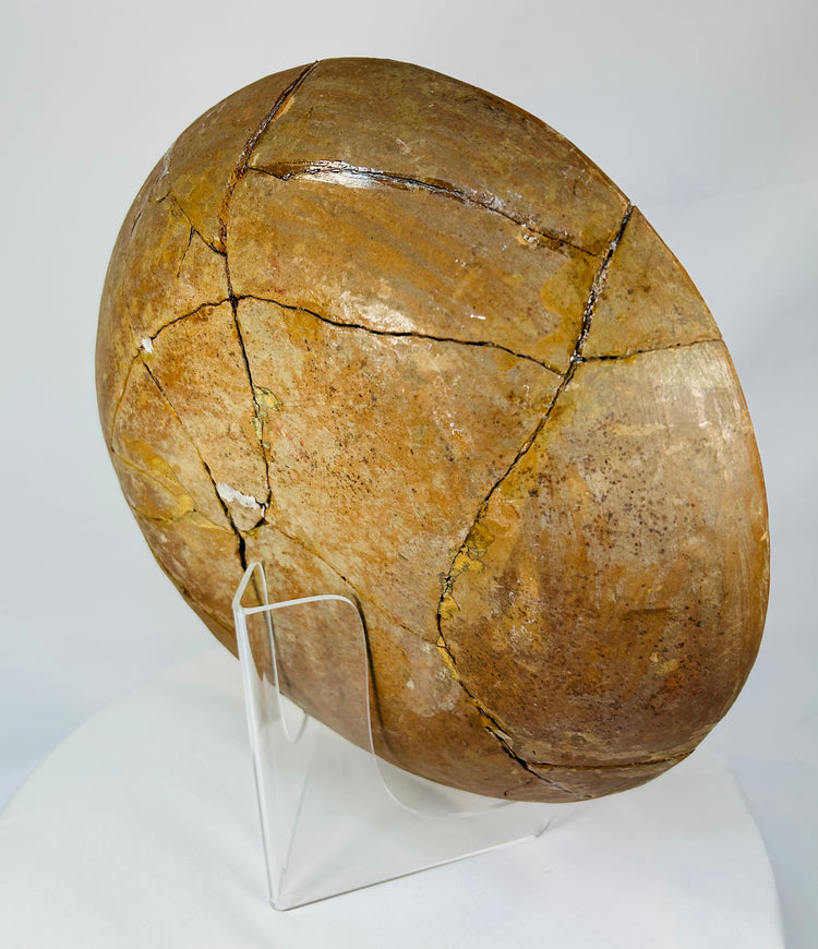 Right-rear view of plate underside displaying join seams and surface patina.