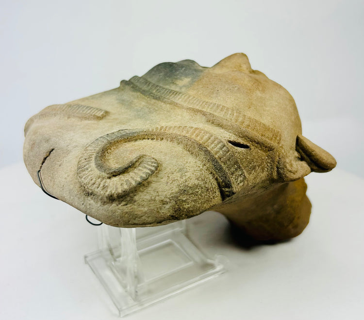 Ancient ceramic head viewed from oblique side angle, highlighting symmetrical ear ornaments.