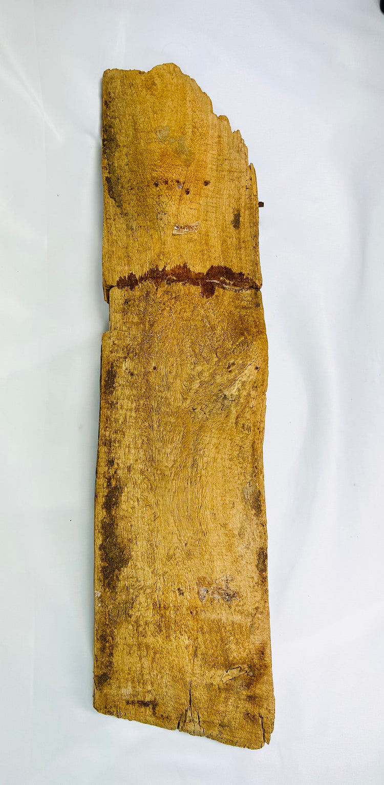Reverse side of wooden coffin fragment showing raw aged wood with visible grain and ancient tool marks