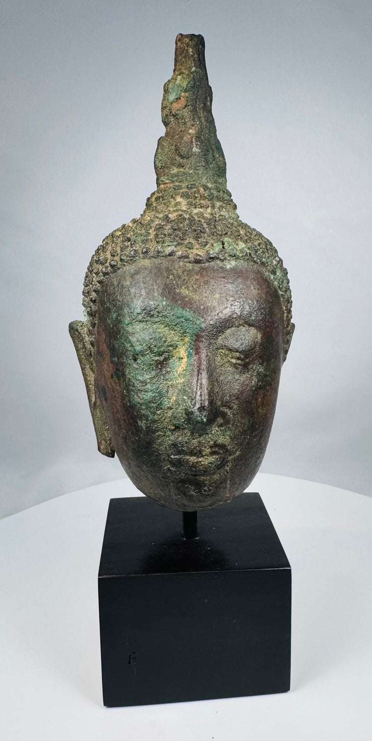 Sukhothai Period Buddha head with downcast eyes and elongated earlobes