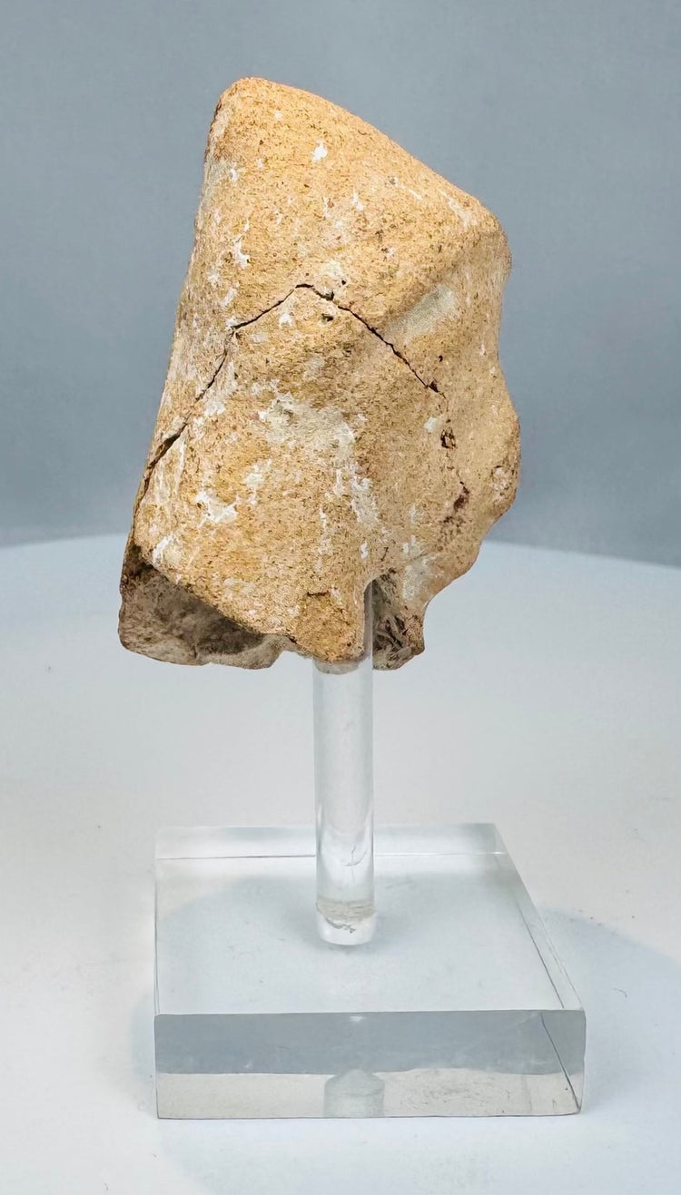 Fragmentary Greek terracotta head with archaeological surface patina