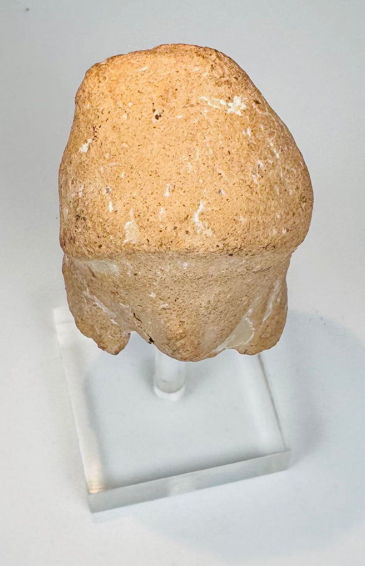 Ancient Greek terracotta figurine head formerly in a California collection