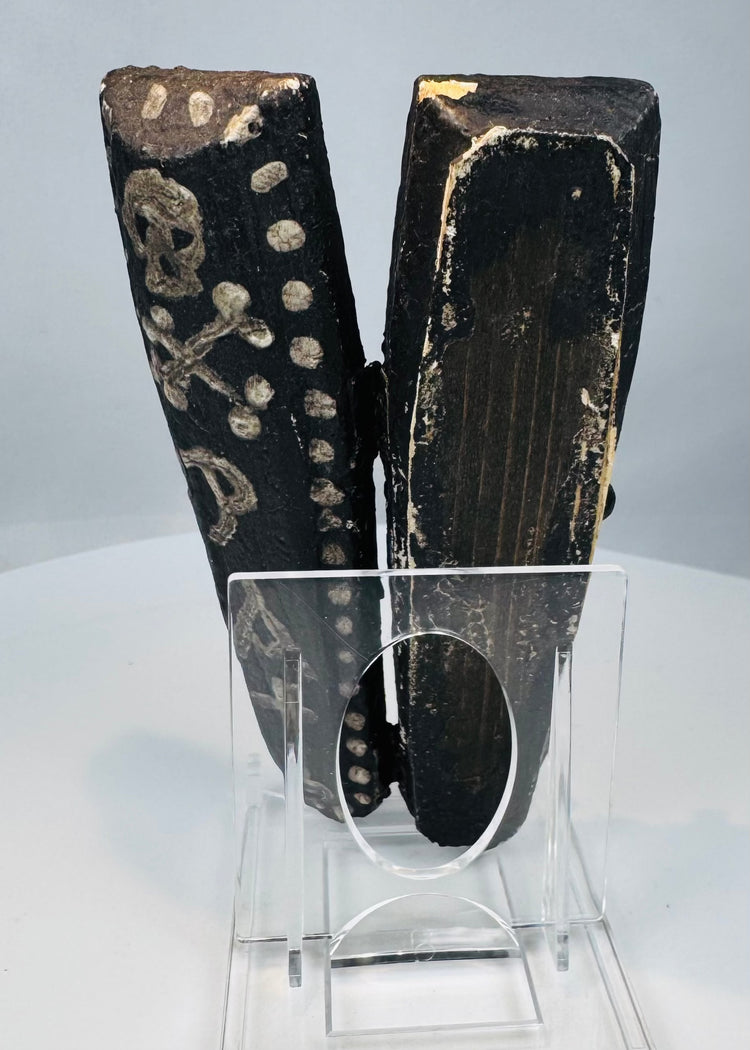 Miniature memento mori coffin with metal hinges and clasp