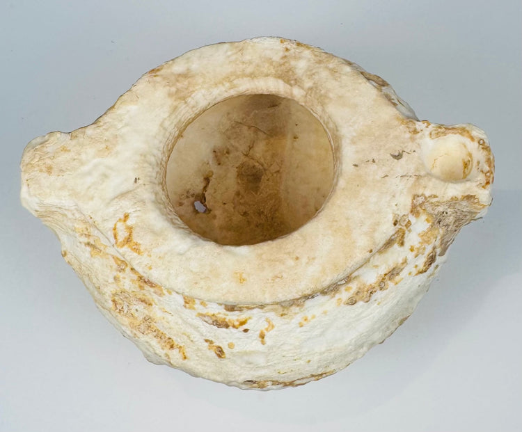 Weathered ancient stone vessel with two integral side projections