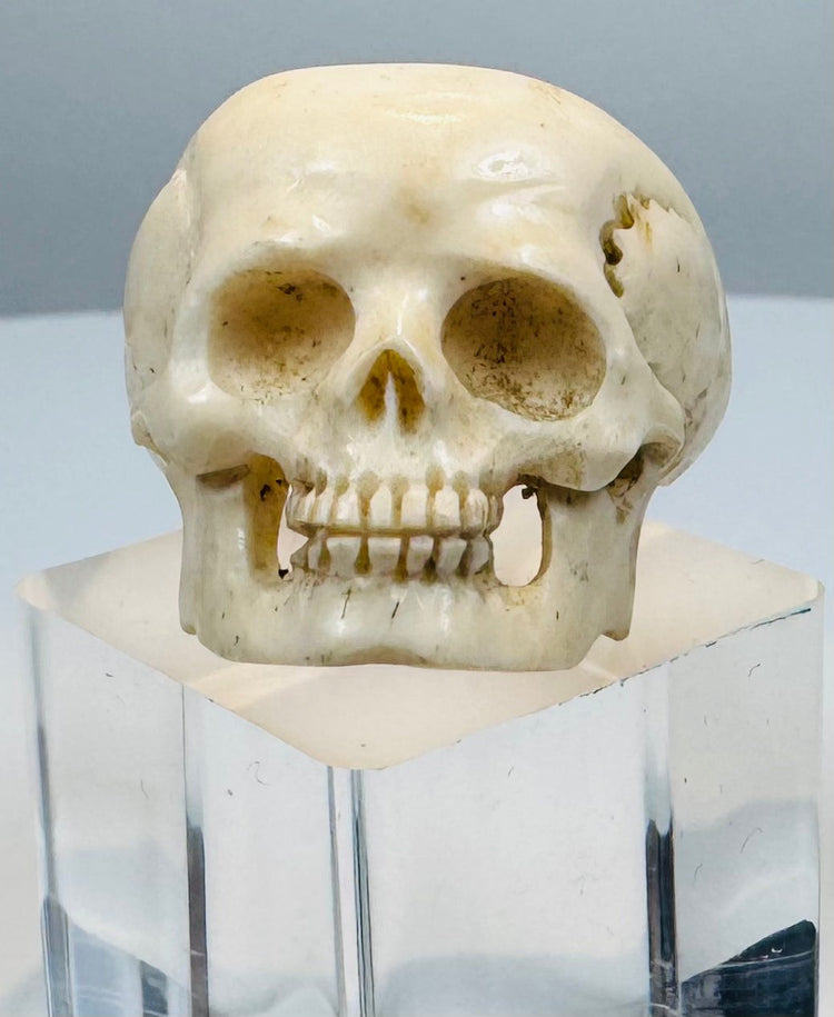 Hand-carved polished bone skull ring with deep eye sockets and defined teeth