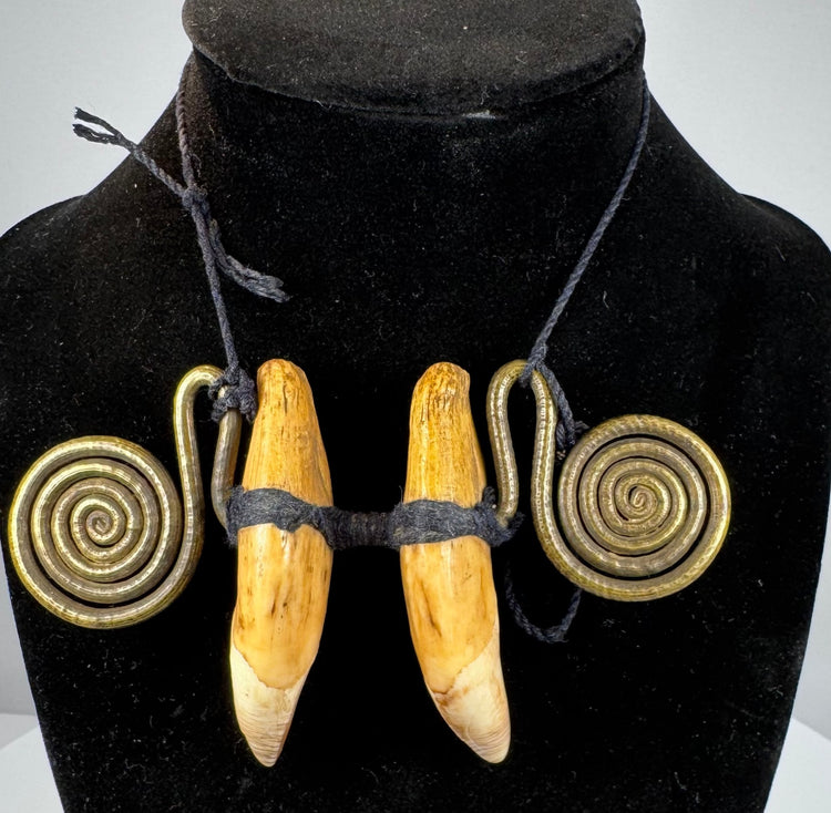 Close-up of aged animal teeth secured with black woven cord and brass ornamentation