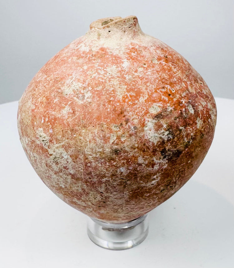 Roman globular terracotta container with reddish surface treatment and mineral encrustation