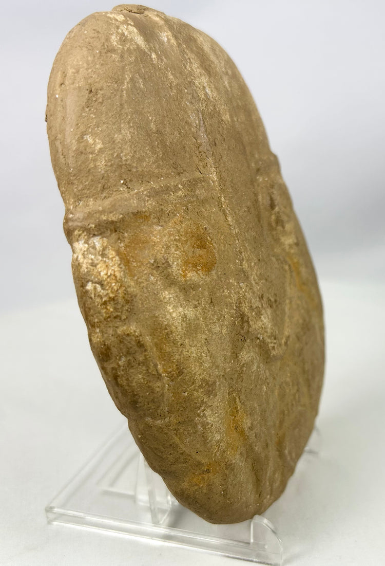 Antique-style carved stone warrior head with bearded facial form