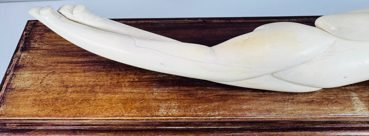 Rear view of the Chinese reclining figure showing natural grain, age lines and assembled construction