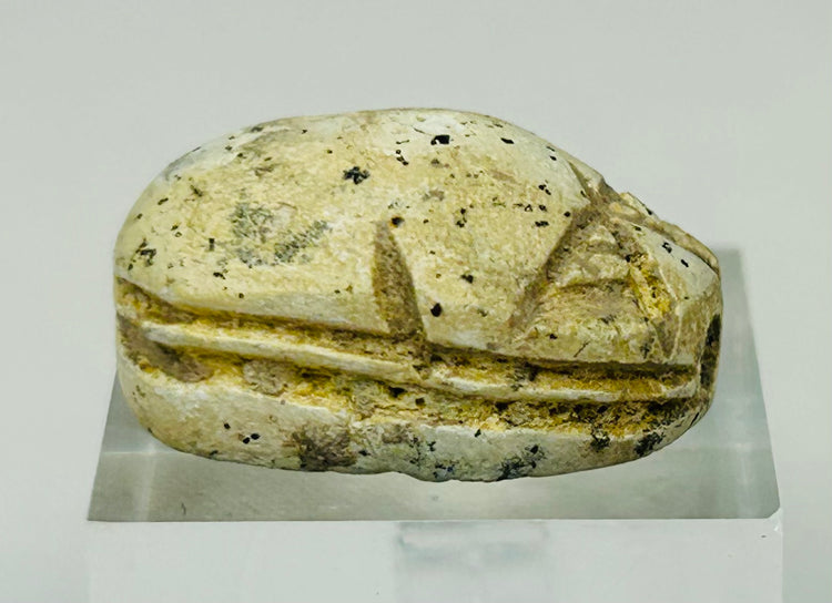 Side view of New Kingdom Egyptian scarab highlighting rounded beetle form and aged surface