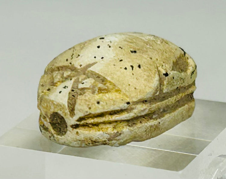 Three-quarter angled view of ancient steatite scarab with desert-toned patina