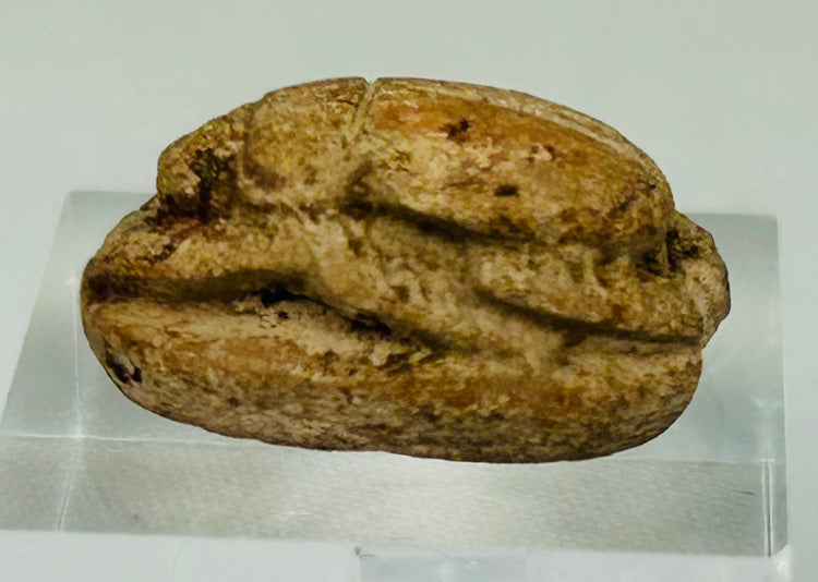 Close-up of Egyptian scarab showing detailed wing segmentation and beetle body carving