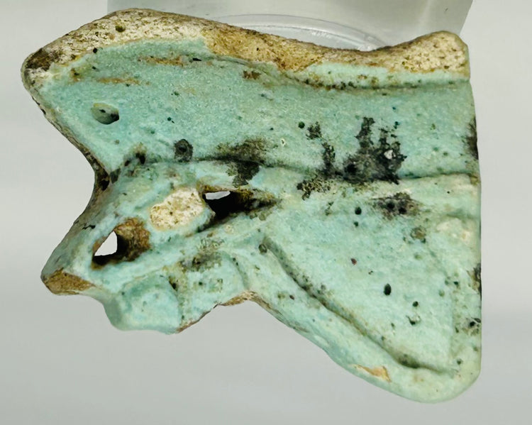 Blue-green faience Eye of Horus amulet shard from Ancient Egypt displayed on white background