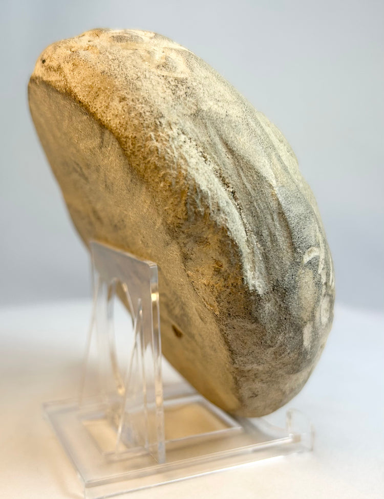 Three-quarter angled view of stone face effigy with primitive carving style