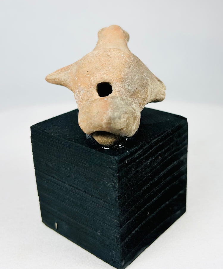 Pre-Columbian clay zoomorphic ritual effigy with forward snout, rounded body, and piercings associated with ceremonial function