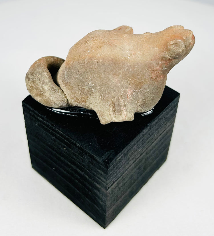 Museum-quality Pre-Columbian terracotta animal effigy sculpture mounted on modern base, displaying cultural craftsmanship and age