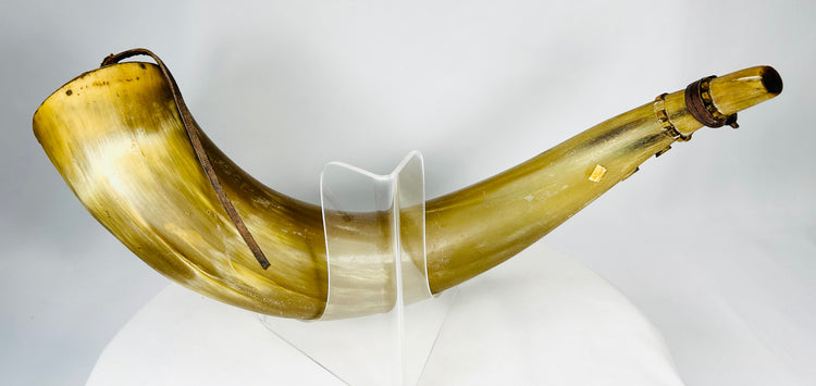 Naturally curved antique powder horn with museum collection label