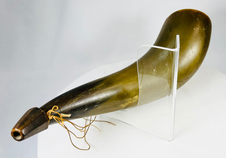 Detail of natural horn surface with age-related striations and patina