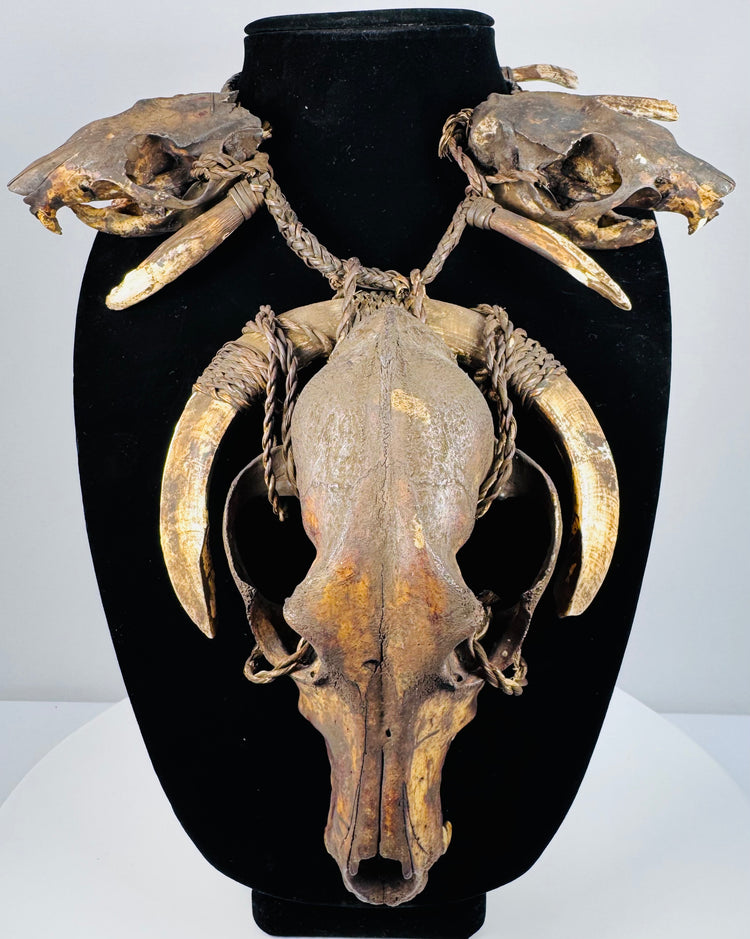 Animal skull necklace with a large central skull, two smaller skulls, curved teeth, and braided twine against a beige background.
