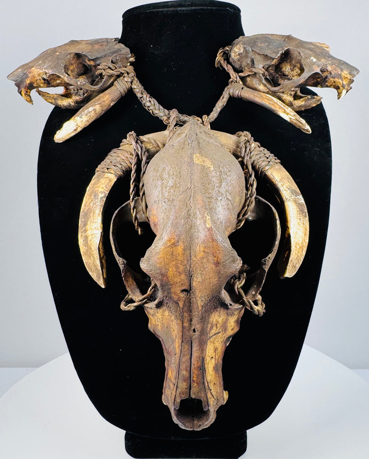 Skull and tooth necklace displayed on a black bust, with pale curved teeth framing the elongated central skull.