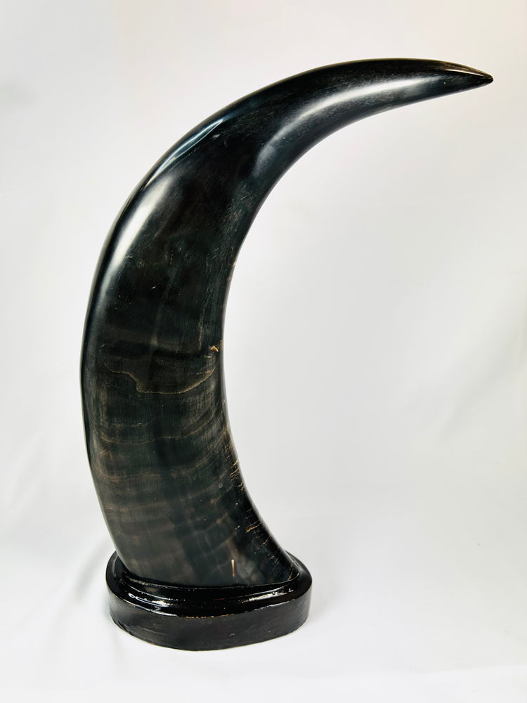 Mid-20th-century East Asian decorative horn sculptures with dragons, tigers, clouds, and black lacquered mounts