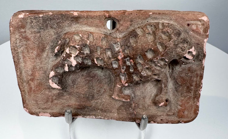 Ancient Indian terracotta relief showing a spotted feline, possibly a leopard, facing right across a rectangular plaque.