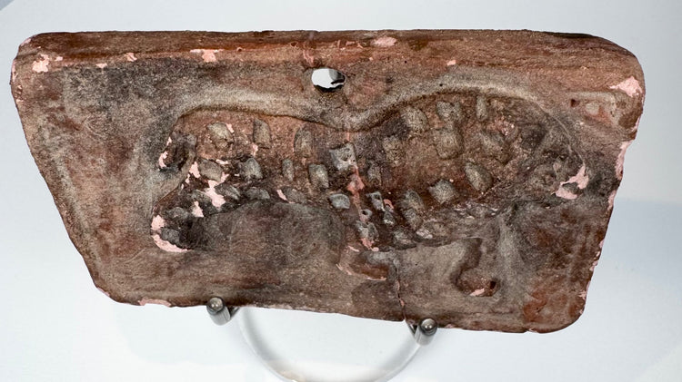 Mould-made Indian terracotta animal plaque with raised feline figure and salmon-pink ceramic fabric.