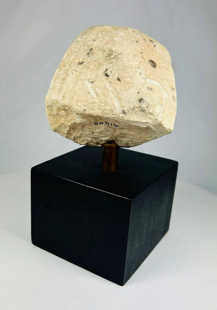 Tapa de vaso canopo de piedra caliza de Imsety | Hijo protector de Horus del Imperio Nuevo | Hacia 1550-1070 a. C.