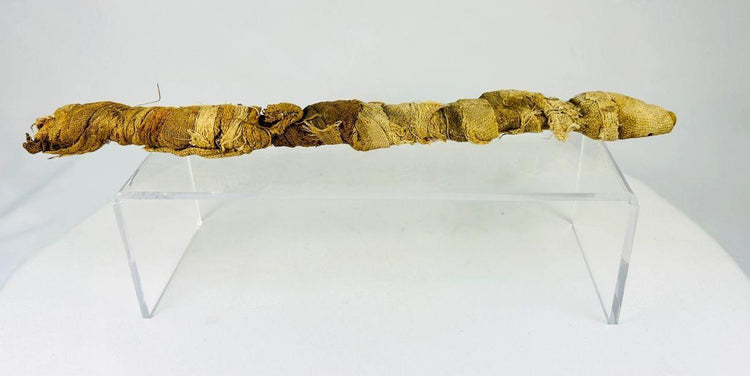 Mummified juvenile crocodile from Ancient Egypt, Late Period to Early Roman era