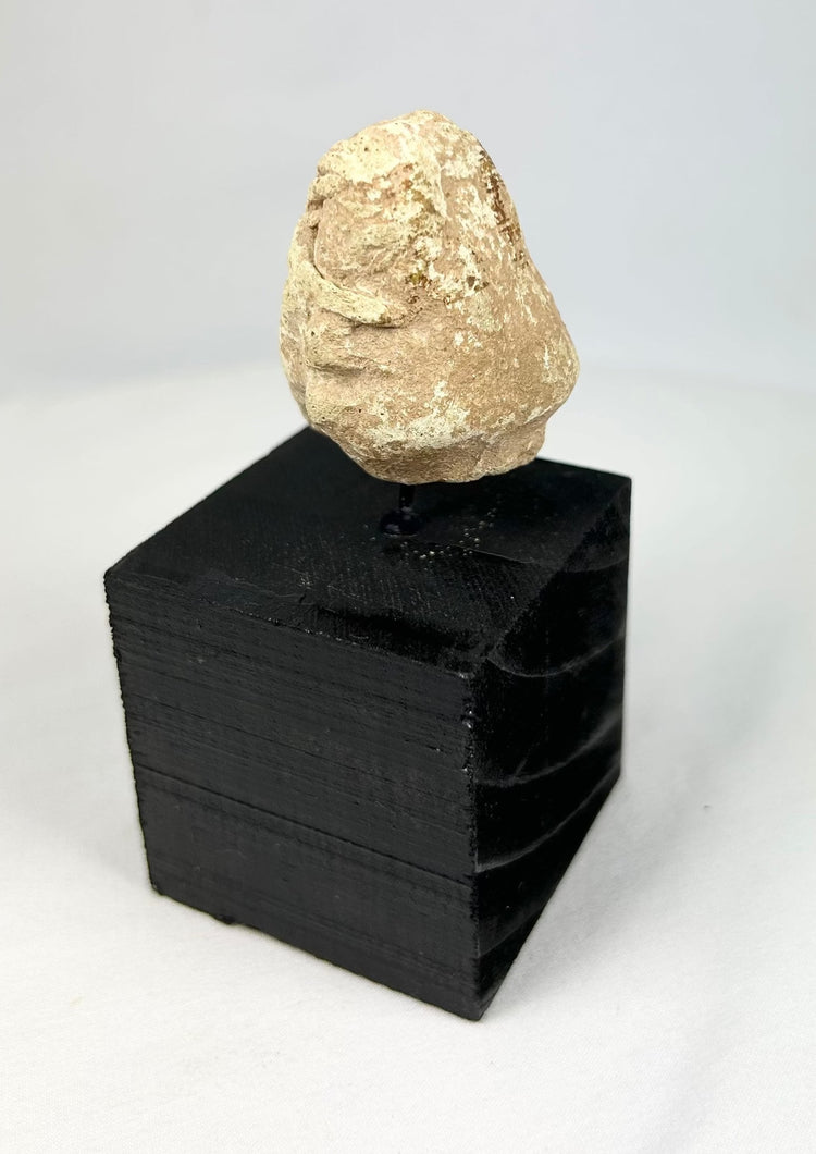 Ancient Mesopotamian stone idol head, ritual votive fragment from the Near East, displayed on stand