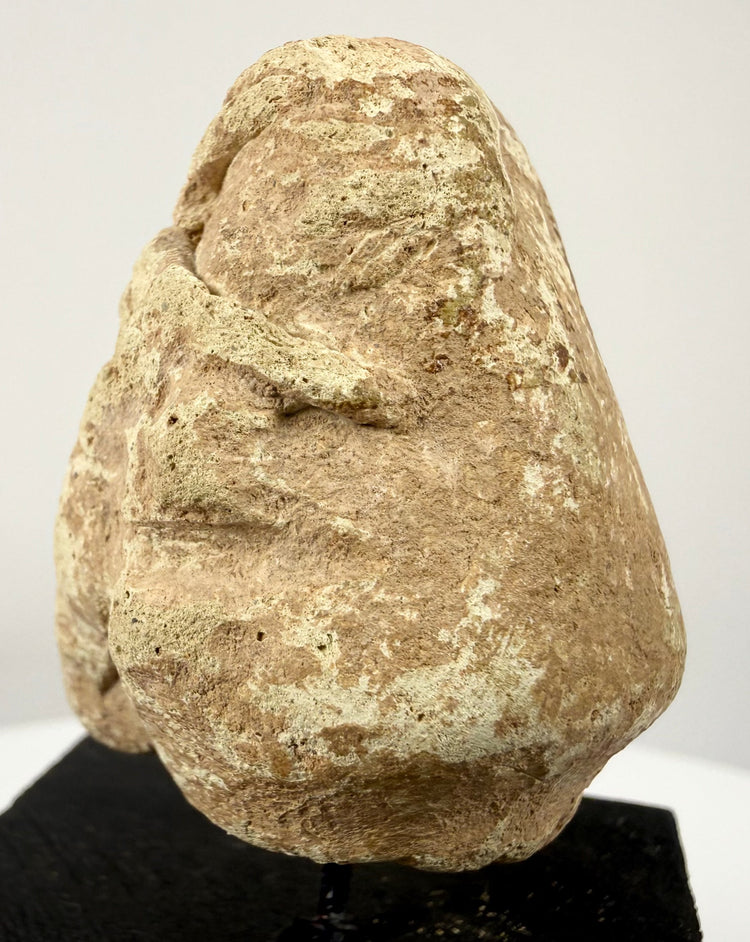 Side profile of weathered stone idol head showing textured porous surface and brow ridge