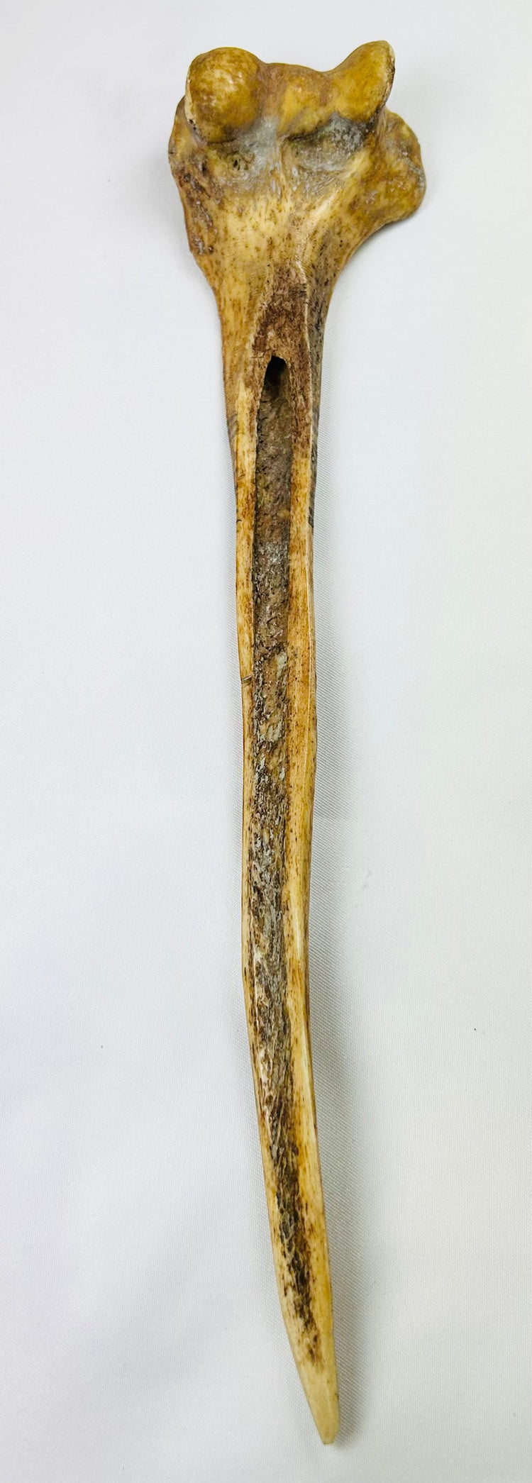 New Guinea Highlands “husband-killing” dagger, human femur carving, traditional pigments and cassowary feather adornments
