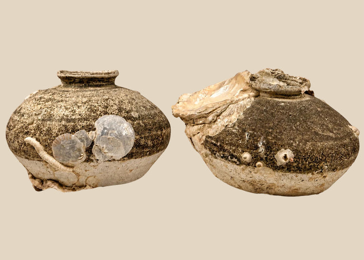 Pair of Ming dynasty stoneware jarlets with brown glaze and marine encrustations