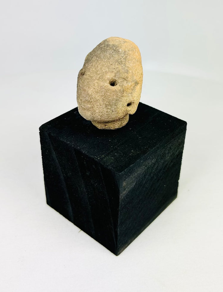 Ancient West Mexican terracotta head fragment from Nayarit or Jalisco, Pre-Columbian artifact, circa 300 BCE–300 CE, mounted for display