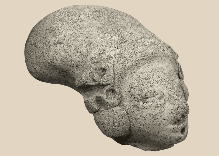 Pre-Columbian terracotta effigy head from West Mexico depicting a stylized human figure with elongated cranial form.